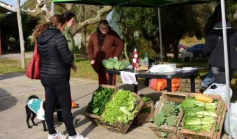 ESTE MIRCOLES VUELVE LA FERIA DE PRODUCTORES GESELINOS